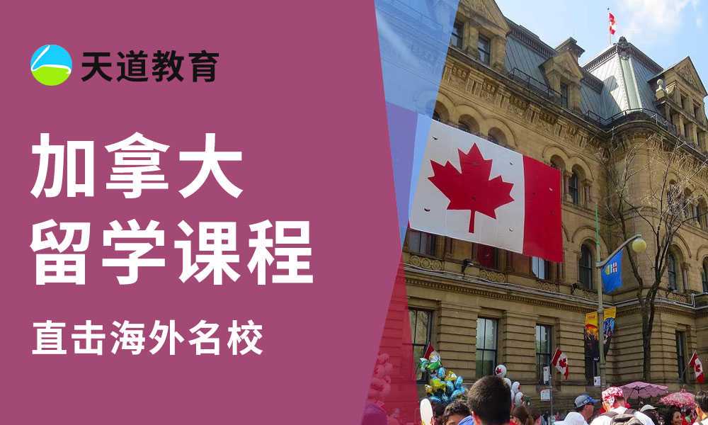 大学英语四六级考试历程