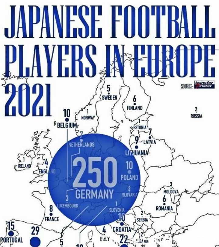 树立法治工作者信念 金华举行“12·4”宪法日律师宣誓仪式