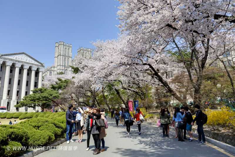 期房买卖过户的地点在哪里