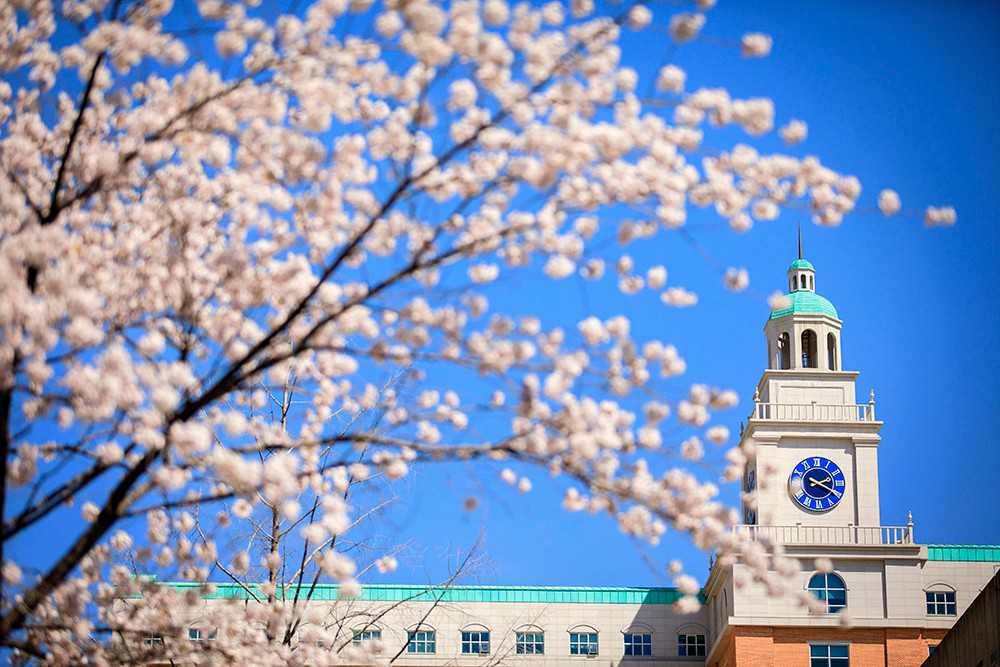 动迁房房屋买卖合同无效吗